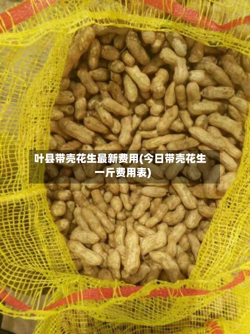 叶县带壳花生最新费用(今日带壳花生一斤费用表)-第3张图片