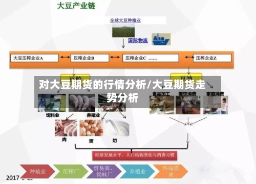对大豆期货的行情分析/大豆期货走势分析-第3张图片