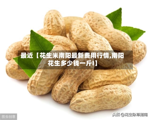 最近【花生米南阳最新费用行情,南阳花生多少钱一斤I】-第3张图片