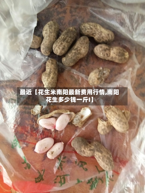 最近【花生米南阳最新费用行情,南阳花生多少钱一斤I】