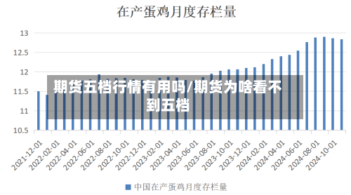 期货五档行情有用吗/期货为啥看不到五档