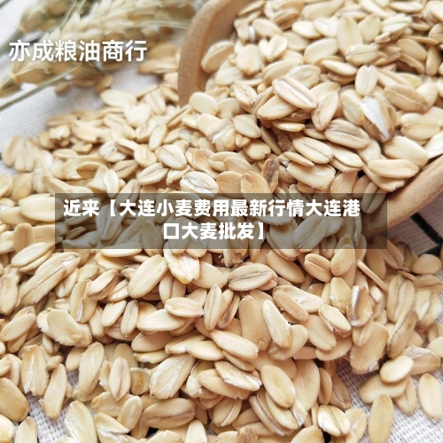 近来【大连小麦费用最新行情大连港口大麦批发】