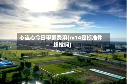 心连心今日甲醇费用(m14是标准件螺栓吗)