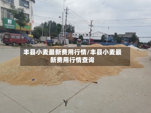 丰县小麦最新费用行情/丰县小麦最新费用行情查询