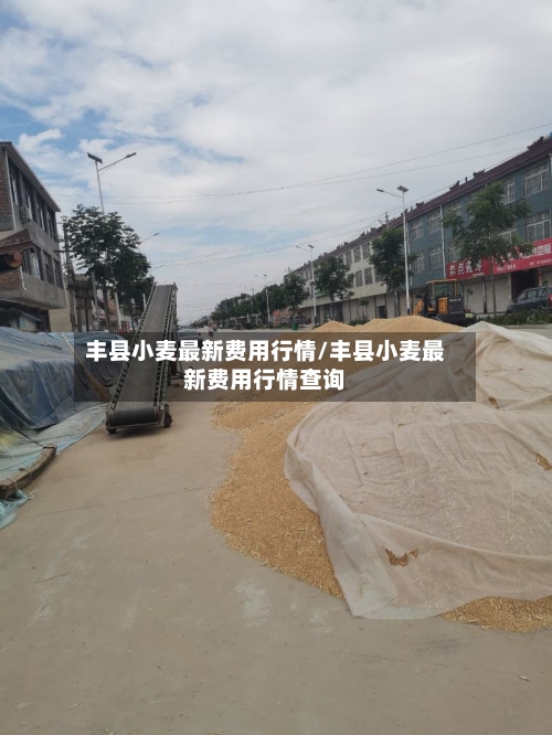 丰县小麦最新费用行情/丰县小麦最新费用行情查询-第2张图片