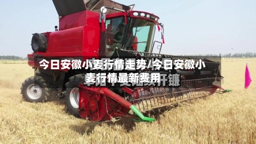 今日安徽小麦行情走势/今日安徽小麦行情最新费用-第2张图片