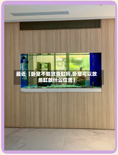 最近【卧室不能放鱼缸吗,卧室可以放鱼缸放什么位置】-第2张图片