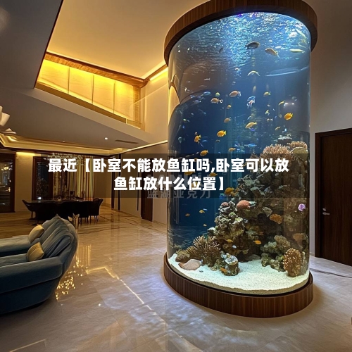 最近【卧室不能放鱼缸吗,卧室可以放鱼缸放什么位置】