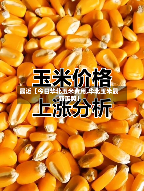 最近【今日华北玉米费用,华北玉米最新走势】-第2张图片