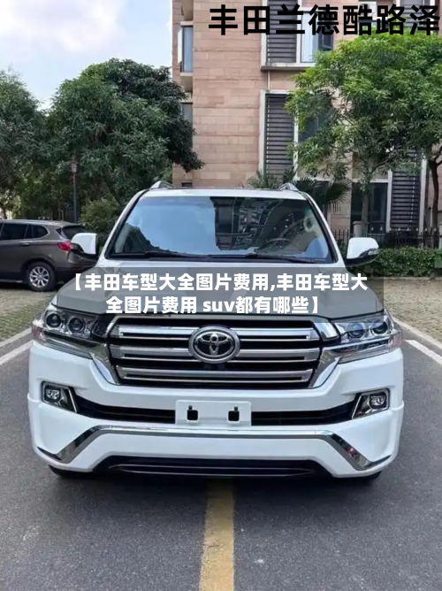 【丰田车型大全图片费用,丰田车型大全图片费用 suv都有哪些】-第3张图片