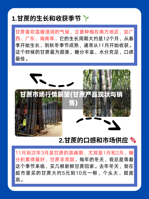 甘蔗市场行情展望(甘蔗产品现状与销售)-第2张图片