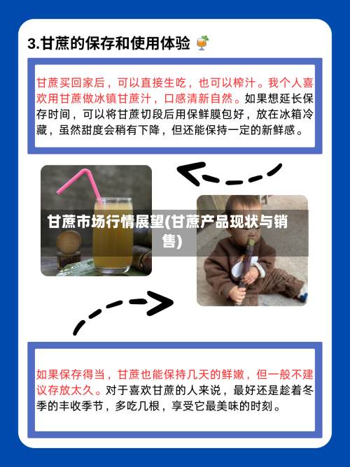 甘蔗市场行情展望(甘蔗产品现状与销售)