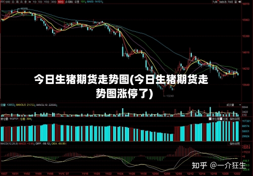 今日生猪期货走势图(今日生猪期货走势图涨停了)
