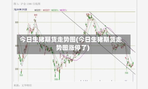 今日生猪期货走势图(今日生猪期货走势图涨停了)-第2张图片