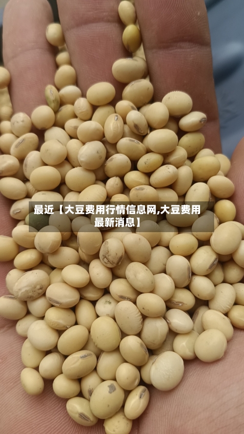 最近【大豆费用行情信息网,大豆费用最新消息】-第2张图片