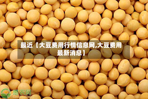 最近【大豆费用行情信息网,大豆费用最新消息】