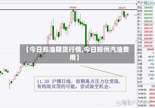 【今日郑油期货行情,今日郑州汽油费用】