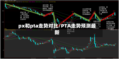 px和pta走势对比/PTA走势预测最新
