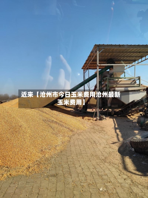 近来【沧州市今日玉米费用沧州最新玉米费用】