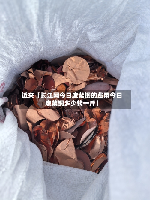 近来【长江网今日废紫铜的费用今日废紫铜多少钱一斤】