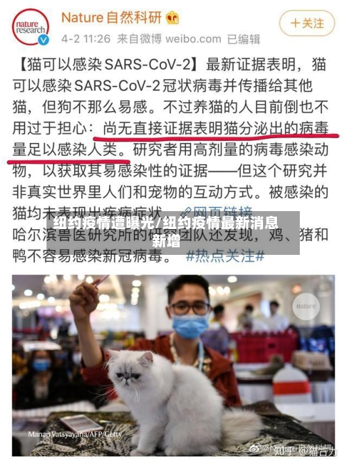 纽约疫情遭曝光/纽约疫情最新消息新增-第2张图片