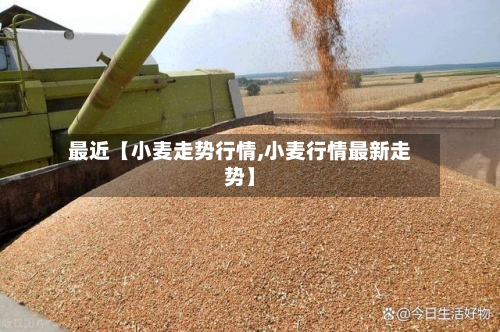 最近【小麦走势行情,小麦行情最新走势】-第2张图片