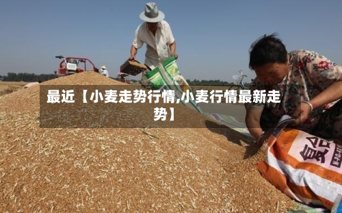 最近【小麦走势行情,小麦行情最新走势】