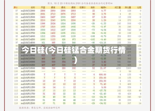 今日硅(今日硅锰合金期货行情)-第2张图片