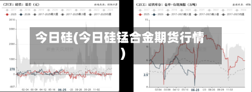 今日硅(今日硅锰合金期货行情)-第3张图片