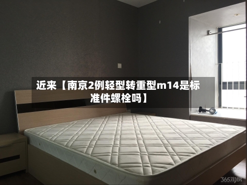 近来【南京2例轻型转重型m14是标准件螺栓吗】-第2张图片