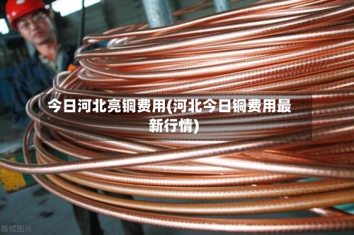 今日河北亮铜费用(河北今日铜费用最新行情)-第2张图片
