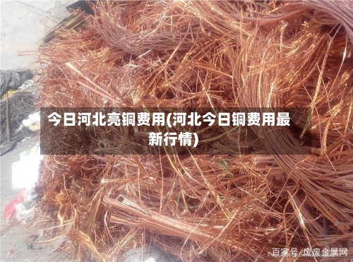 今日河北亮铜费用(河北今日铜费用最新行情)-第3张图片