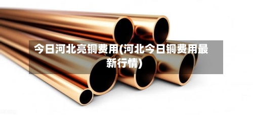 今日河北亮铜费用(河北今日铜费用最新行情)