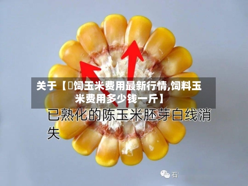 关于【餵饲玉米费用最新行情,饲料玉米费用多少钱一斤】