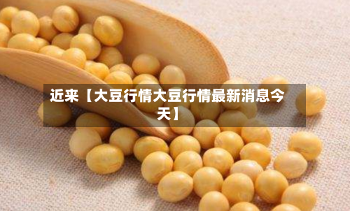 近来【大豆行情大豆行情最新消息今天】