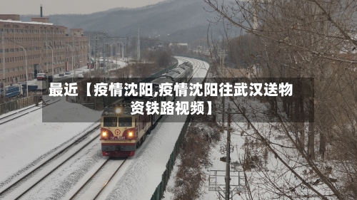 最近【疫情沈阳,疫情沈阳往武汉送物资铁路视频】