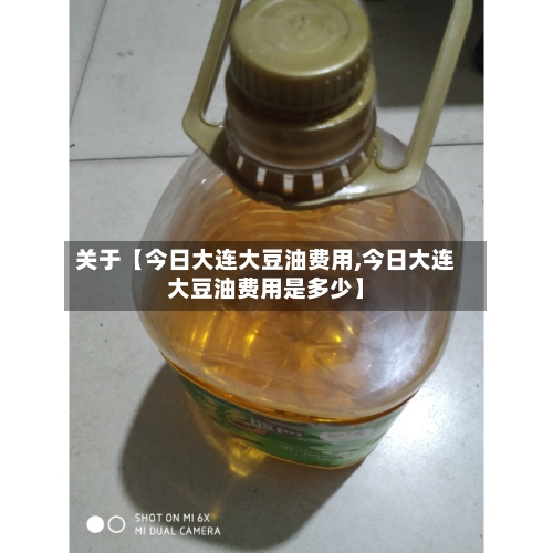 关于【今日大连大豆油费用,今日大连大豆油费用是多少】-第2张图片