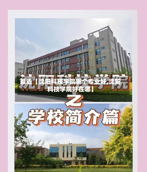 最近【沈阳科技学院哪个专业好,沈阳科技学院好在哪】