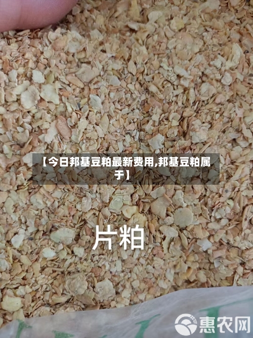 【今日邦基豆粕最新费用,邦基豆粕属于】