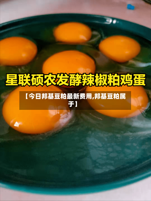 【今日邦基豆粕最新费用,邦基豆粕属于】-第3张图片