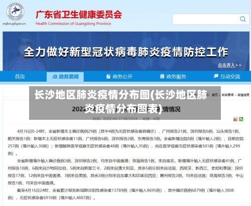 长沙地区肺炎疫情分布图(长沙地区肺炎疫情分布图表)-第2张图片