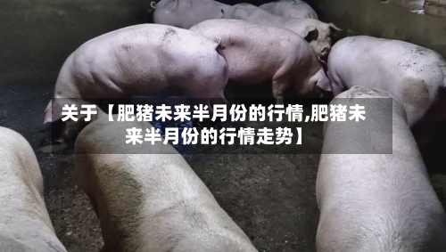 关于【肥猪未来半月份的行情,肥猪未来半月份的行情走势】