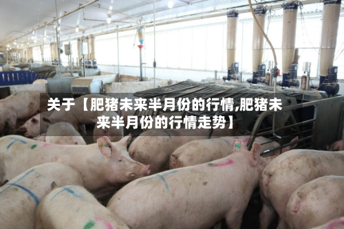 关于【肥猪未来半月份的行情,肥猪未来半月份的行情走势】-第2张图片