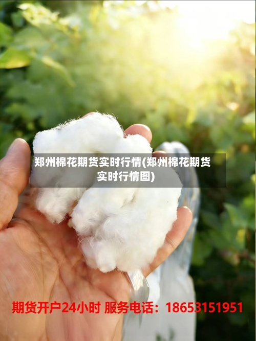 郑州棉花期货实时行情(郑州棉花期货实时行情图)
