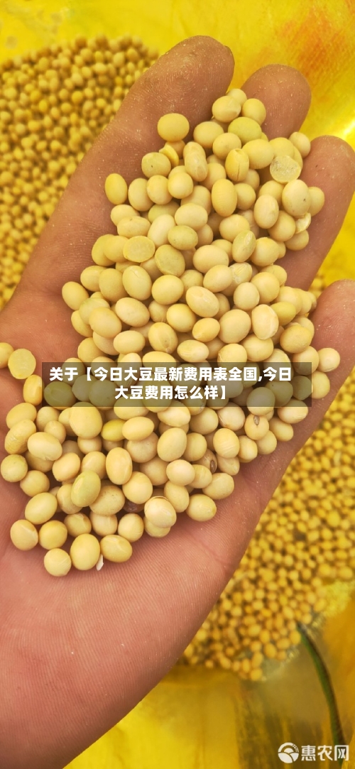 关于【今日大豆最新费用表全国,今日大豆费用怎么样】-第2张图片