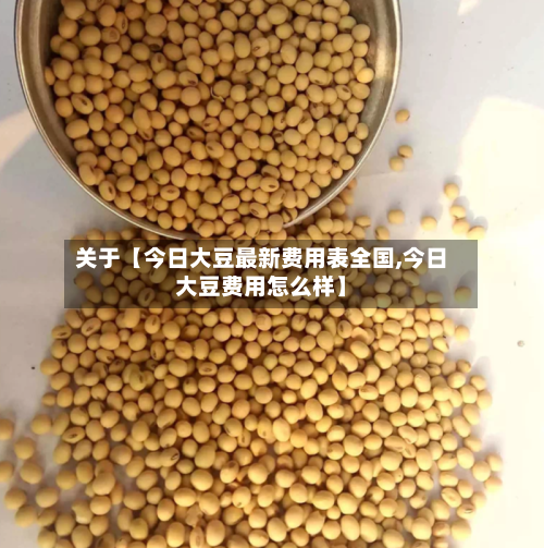 关于【今日大豆最新费用表全国,今日大豆费用怎么样】-第3张图片