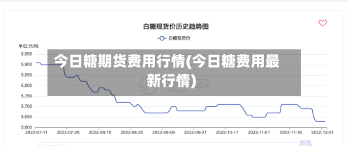 今日糖期货费用行情(今日糖费用最新行情)