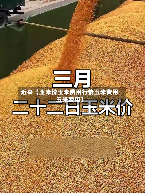 近来【玉米价玉米费用行情玉米费用玉米费用】