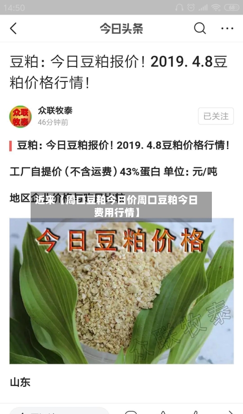 近来【周口豆粕今日价周口豆粕今日费用行情】-第2张图片