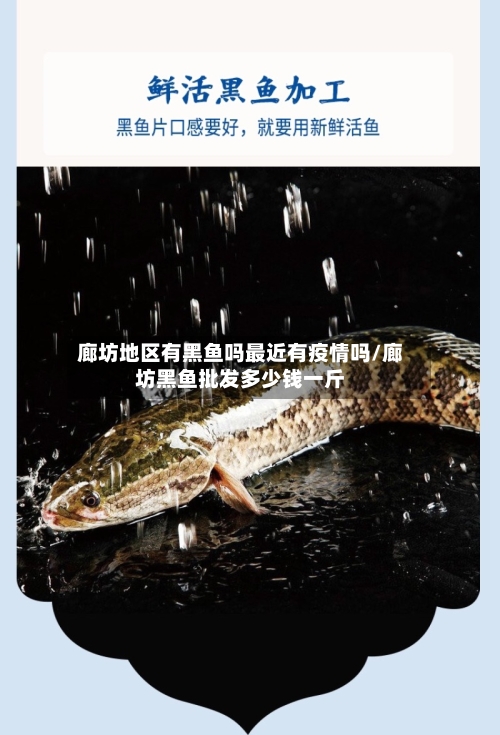 廊坊地区有黑鱼吗最近有疫情吗/廊坊黑鱼批发多少钱一斤